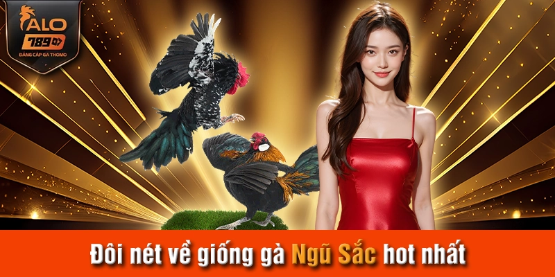 Đôi nét về giống gà Ngũ Sắc hot nhất